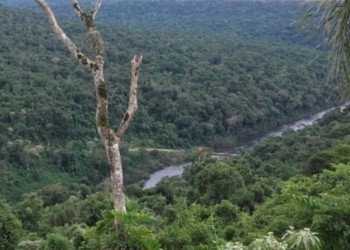Misiones corrige error oficial y amplía el control sobre flora, fauna y recursos genéticos