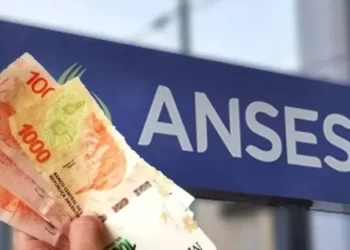 Pensiones no contributivas en Misiones: lanzan una aplicación para consultar si hay trámites pendientes
