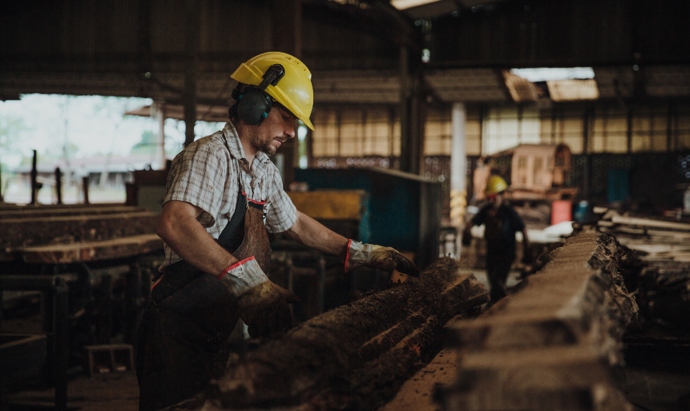Tensión en la industria maderera misionera: salarios estancados y amenaza de medidas de fuerza