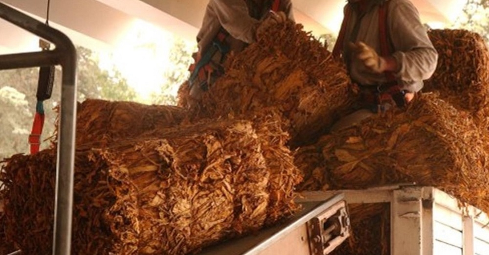 Misiones amenaza con clausurar a tabacaleras morosas con productores