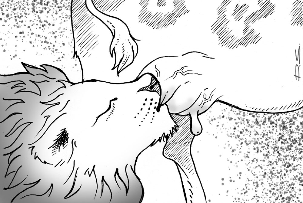 La brecha entre el discurso y los hechos: privilegios y estadísticas en la Argentina de Milei