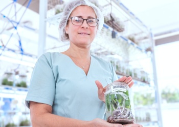 Innovación biotecnológica: Los BIT revolucionan la cadena alimentaria mundial