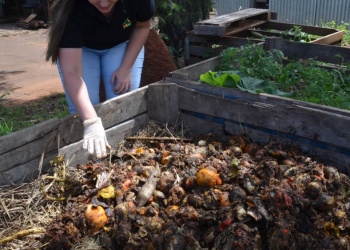 Misiones inicia programa de compostaje digital para transformar residuos orgánicos