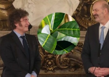 Sturzenegger defiende la desregulación yerbatera y afirma que el INYM duplicaba el precio para los consumidores