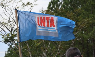 Misiones en alerta: 40 bajas en el Inta por retiros voluntarios que sindicalistas califican como despidos forzados