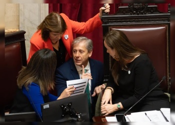 El Senado desafió al Gobierno y aprobó el pliego de Verónica Michelli, vetada por su vínculo familiar