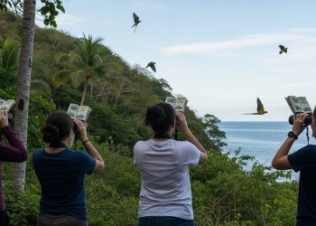 Volar 2026: el encuentro de observación de aves se traslada a Santa Ana con disertantes internacionales
