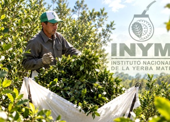 INYM extiende hasta el 11 de diciembre la inscripción de entidades para renovar su Directorio
