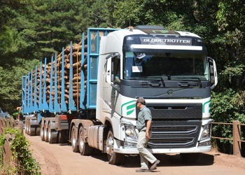 Bitrenes: el Gobierno flexibiliza los límites de peso y largo, pero la infraestructura vial genera dudas