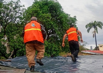 Misiones despliega un amplio operativo de asistencia y reconstrucción tras los temporales con granizo