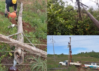 Tornado en Cruce Caballero: Energía de Misiones reconstruye la red eléctrica con cuadrillas y generación térmica