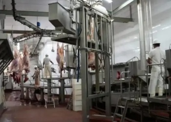 El cierre de Ganadera El Porvenir deja a cien familias sin empleo y sin indemnizaciones completas