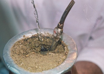 Un estudio de la UBA sugiere que la yerba mate podría retrasar el Parkinson